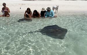 Spacious Waterfront Haven in Bahamas, Treasure Cay - Treasure cay, Bahamas