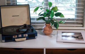 Red Rocks Retreat near Denver - Lakewood, Colorado