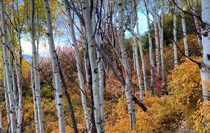 Historic Main Street - Park City, Utah