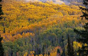 Historic Main Street - Park City, Utah