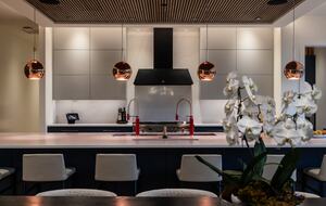 Arbor Domus Maximus: World's Greatest Treehouse - Issaquah, Washington