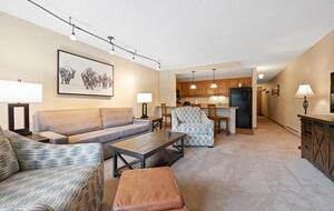 The Wren at Vail | One Bedroom, Facing Vail Mountain - Vail, Colorado