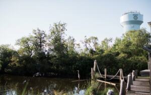 Outer Banks Rendezvous Retreat - Duck, North Carolina