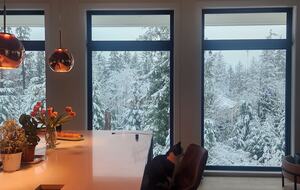 Arbor Domus Maximus: World's Greatest Treehouse - Issaquah, Washington