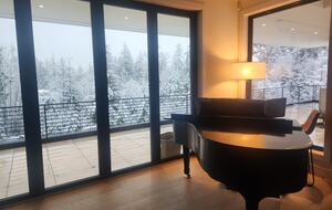 Arbor Domus Maximus: World's Greatest Treehouse - Issaquah, Washington