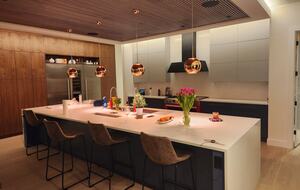 Arbor Domus Maximus: World's Greatest Treehouse - Issaquah, Washington