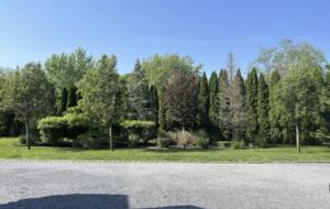 Hamptons Oasis - Water Mill, New York