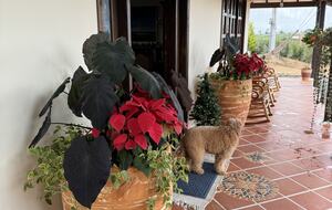 Finca Villa Rosales - Medellin, Colombia