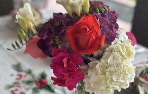 Finca Villa Rosales - Medellin, Colombia