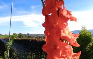 Finca Villa Rosales - Medellin, Colombia