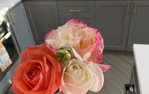 Finca Villa Rosales - Medellin, Colombia