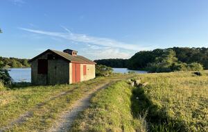 Path by pond across the street