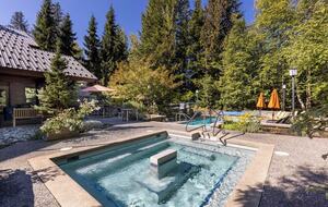 Large hot tub with heated pool