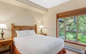 Second Bedroom with Queen Bed