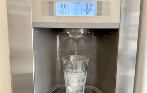 Fridge freezer has ice and water dispenser