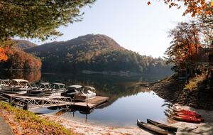 Allspice Court Cottage | Bear Lake Reserve - Tuckasegee, North Carolina