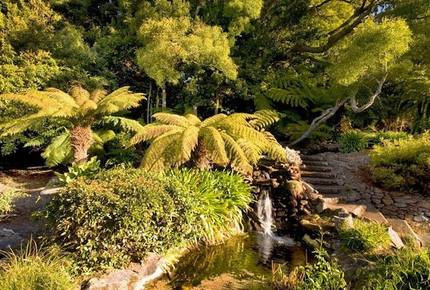 Green Acres - Robertson, Australia