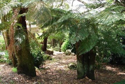 Green Acres - Robertson, Australia