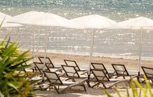 Oceanfront Guest Room at AVA Resort Cancún (All-Inclusive Vacation) - Cancún, Mexico