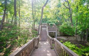 Wintergreen Retreat: Steps to Great Hiking on the Appalachain Trail - Wintergreen Resort, Virginia