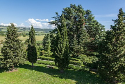 Fattoria Pian dell'Asso - First Floor Property - Montalcino, Italy