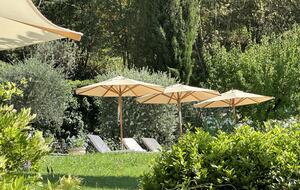 Provençal Paradise right on the French Riviera - Grasse, France