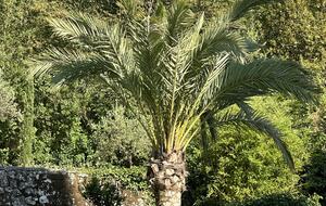 Provençal Paradise right on the French Riviera - Grasse, France