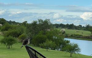 Modern Waterfront Lake House | Carmelo Golf - Carmelo, Uruguay