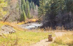 River House Haven Near Telluride - Placerville, Colorado