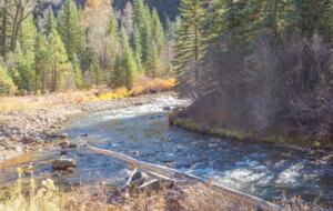 River House Haven Near Telluride - Placerville, Colorado