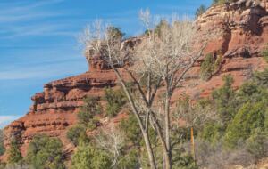 River House Haven Near Telluride - Placerville, Colorado