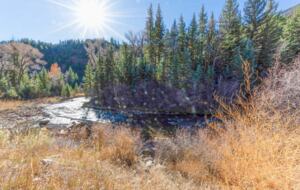 River House Haven Near Telluride - Placerville, Colorado