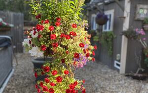 Point B - Monterey, California
