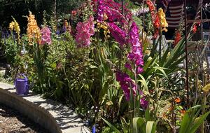 Point B - Monterey, California