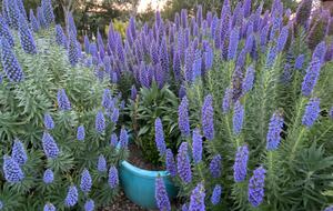 Point B - Monterey, California