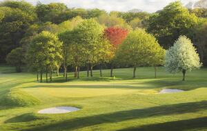 Seaside Luxury Escape - Aberdour, United Kingdom