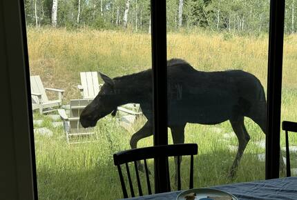 Luxury Mountain Home near Tetons, Jackson Hole and Targhee - Victor, Idaho