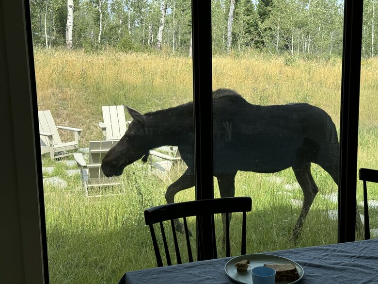 Luxury Mountain Home near Tetons, Jackson Hole and Targhee - Victor, Idaho