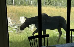 Luxury Mountain Home near Tetons, Jackson Hole and Targhee - Victor, Idaho