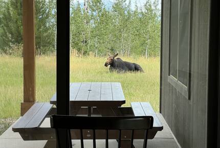 Luxury Mountain Home near Tetons, Jackson Hole and Targhee - Victor, Idaho