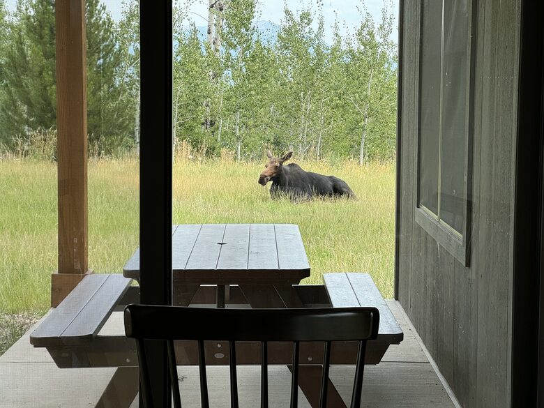 Luxury Mountain Home near Tetons, Jackson Hole and Targhee - Victor, Idaho