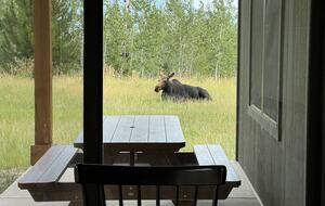 Luxury Mountain Home near Tetons, Jackson Hole and Targhee - Victor, Idaho