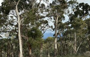 A Refined Country Escape Near Kyneton - Pipers Creek, Australia