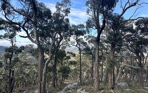 A Refined Country Escape Near Kyneton - Pipers Creek, Australia