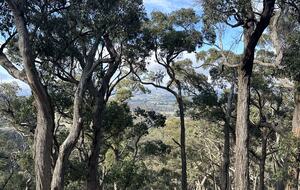 A Refined Country Escape Near Kyneton - Pipers Creek, Australia