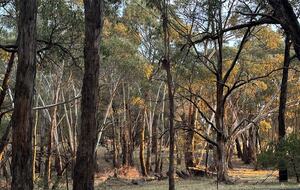 A Refined Country Escape Near Kyneton - Pipers Creek, Australia