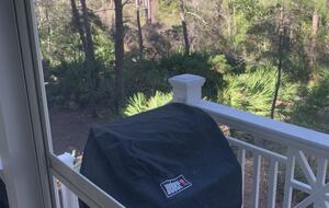 Gorgeous Southern Style Getaway | 30A - Inlet Beach, Florida