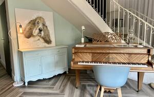 Bord de Saône - Alleriot, France