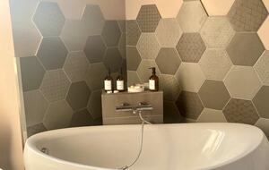 Bord de Saône - Alleriot, France