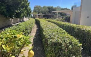 Beachfront Island Villa with Panoramic Aegean Views - Agios Isidoros, Greece